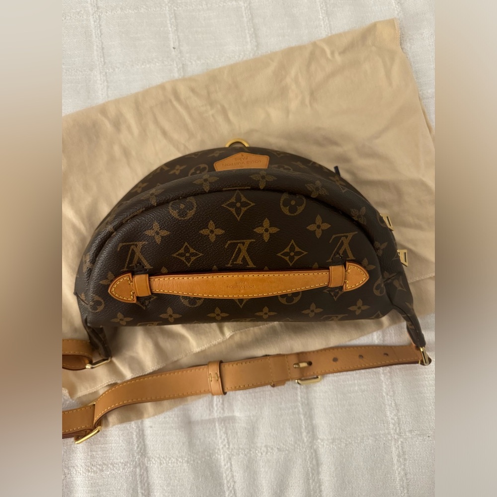 Louis Vuitton Monogram Bag